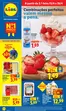 Catálogo Lidl | A partir de 1304 | 2026-04-10T00:00:00.000Z - 2026-04-19T00:00:00.000Z